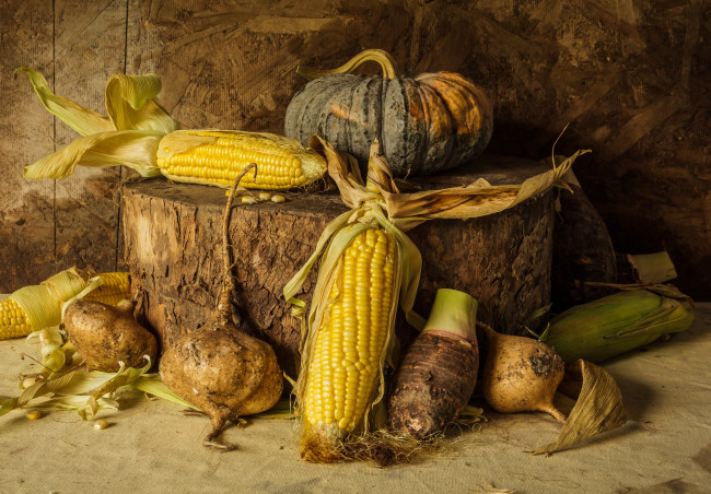 Обои картинки фото еда, натюрморт, still, life, corn, pumpkin, овощи, тыква, урожай, кукуруза, autumn, harvest, vegetables