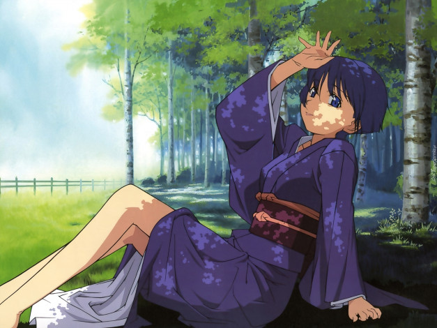 Обои картинки фото аниме, ai yori aoshi, девушка, лес