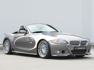 обоя hamann, bmw, z4, roadster, автомобили