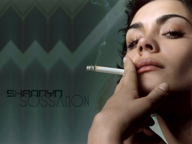 Обои картинки фото Shannyn Sossamon, девушки