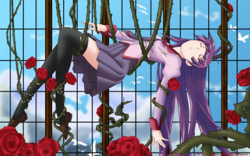 обоя bakemonogatari, аниме, senjougahara hitagi, девушка, форма, окна, небо, облака, птицы, розы, цветы, шипы, стебли