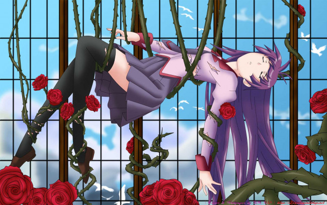 Обои картинки фото bakemonogatari, аниме, senjougahara hitagi, девушка, форма, окна, небо, облака, птицы, розы, цветы, шипы, стебли