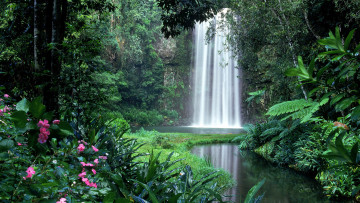 обоя природа, водопады, джунгли