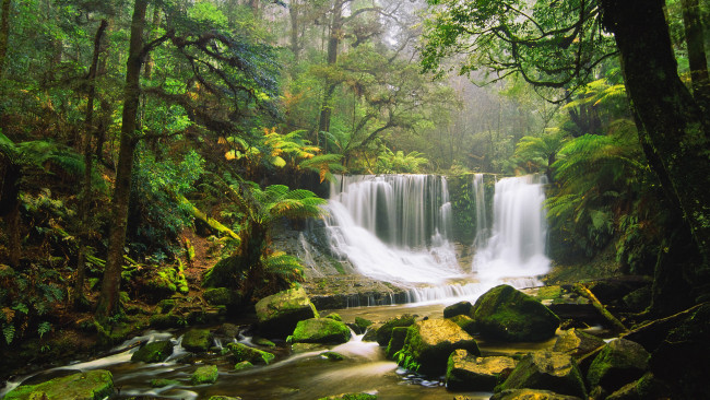Обои картинки фото природа, водопады, деревья, лес, река, камни
