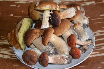 обоя еда, грибы, грибные, блюда, подосиновики, блюдо, боровики