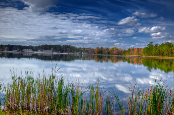 Картинка природа реки озера вода отражение небо камыш