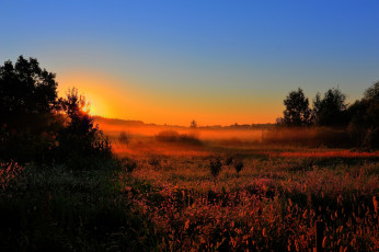 Картинка природа восходы закаты туман поле вечер