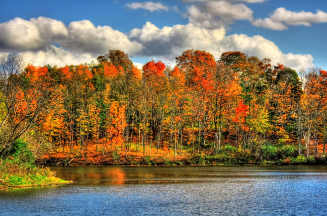 Обои картинки фото природа, реки, озера, желтый, река, осень