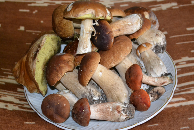 Обои картинки фото еда, грибы, грибные, блюда, подосиновики, блюдо, боровики