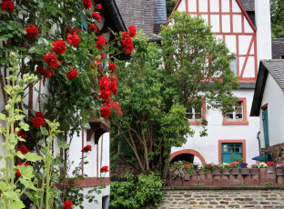 Картинка германия монреаль города здания дома цветы двор