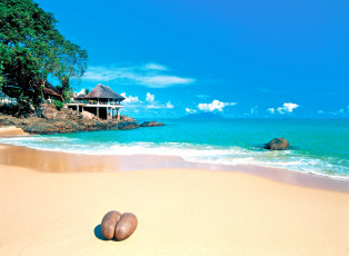 Картинка природа побережье сейшелы