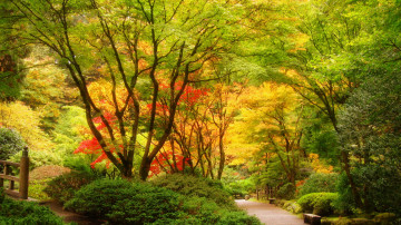 Картинка portland japanese gardens сша природа парк растения деревья