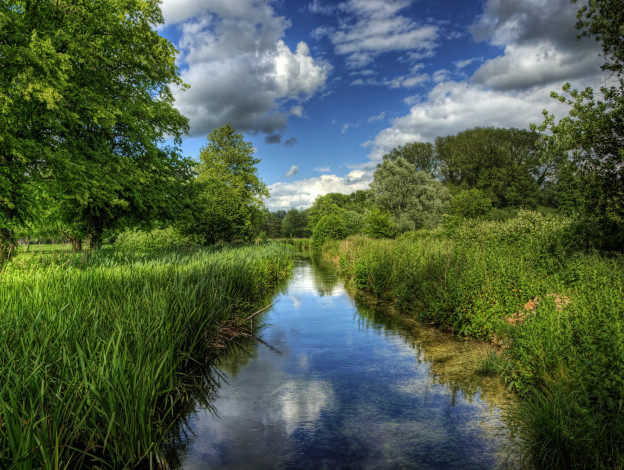 Обои картинки фото river, itchen, winchester, англия, природа, реки, озера, берег, камыши, река