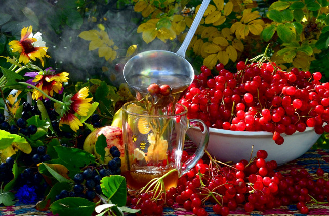 Обои картинки фото еда, фрукты, ягоды, арония, половник, калина