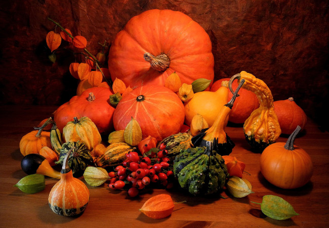 Обои картинки фото еда, тыква, шиповник, тыковки, физалис, осень
