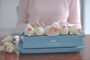 Картинка разное -+другое бутоны розы цветы печатная машинка