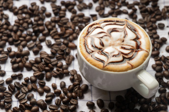 Картинка еда кофе +кофейные+зёрна зерна пена чашка шоколад капучино