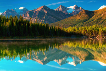 Картинка природа пейзажи лес горы канада озеро herbert