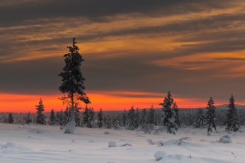 Картинка природа зима облака небо деревья снег