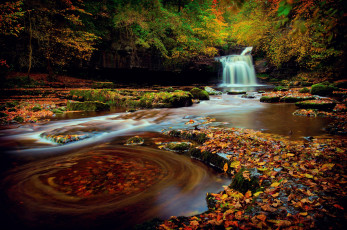 Картинка природа водопады северная англия йоркшир лес водопад осень октябрь выдержка листва