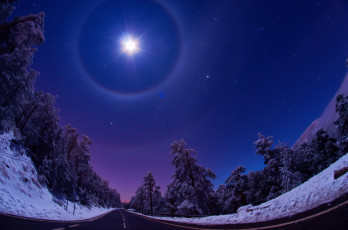 Картинка природа дороги зима ночь небо луна свет звезды дорога лес снег