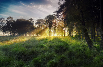 Картинка природа восходы закаты англия северный йоркшир york strensall осень октябрь утро небо свет лучи туман солнце трава роса деревья дерево