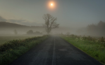 Картинка природа дороги туман дерево трава дорога утро