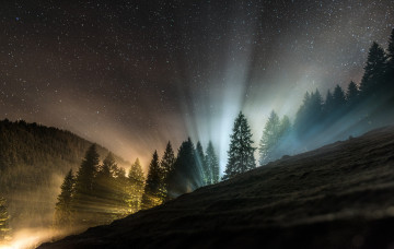 Картинка природа восходы закаты ночь лес свет