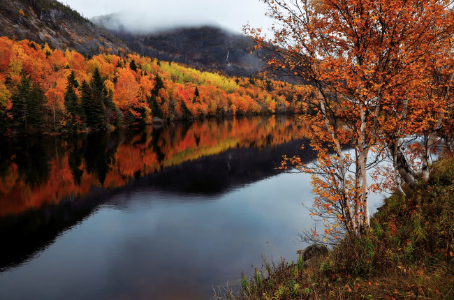 Обои картинки фото природа, реки, озера, канада, провинция, ньюфаундленд, и, лабрадор, осень, река, humber, river