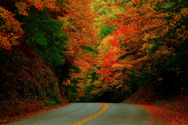 Обои картинки фото природа, дороги, сша, краски, лес, октябрь, дорога, осень, северная, каролина