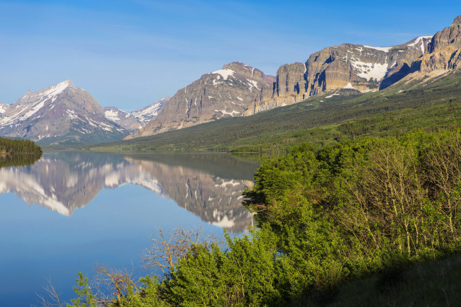 Обои картинки фото glacier national park,  montana  сша, природа, реки, озера, glacier, трава, река, лес, сша, montana, national, park