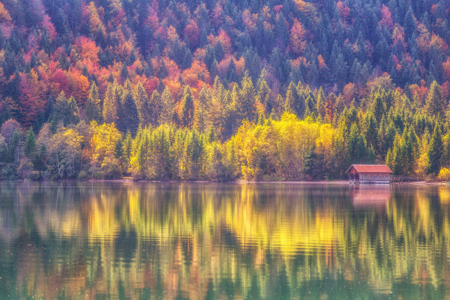 Обои картинки фото природа, реки, озера, отражение, озеро, лес, осень