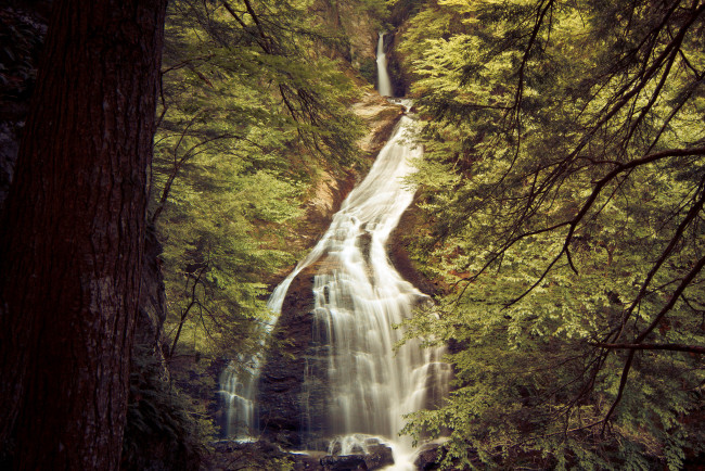 Обои картинки фото природа, водопады, деревья, скала, водопад