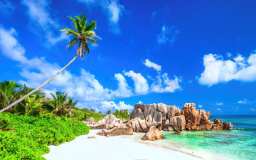 Картинка природа тропики море sand palms tropical paradise пальмы песок берег пляж shore sea beach summer