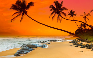Картинка природа тропики tropical paradise shore beach sunset пляж sea море sand песок берег закат пальмы