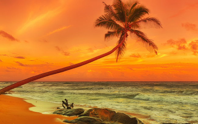 Обои картинки фото природа, тропики, берег, песок, пальмы, закат, пляж, море, sand, tropical, paradise, shore, sea, beach, sunset