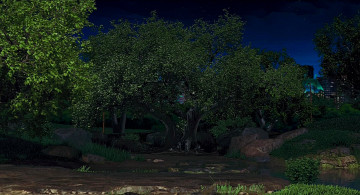 Картинка рисованное природа растения камни ночь водоем деревья