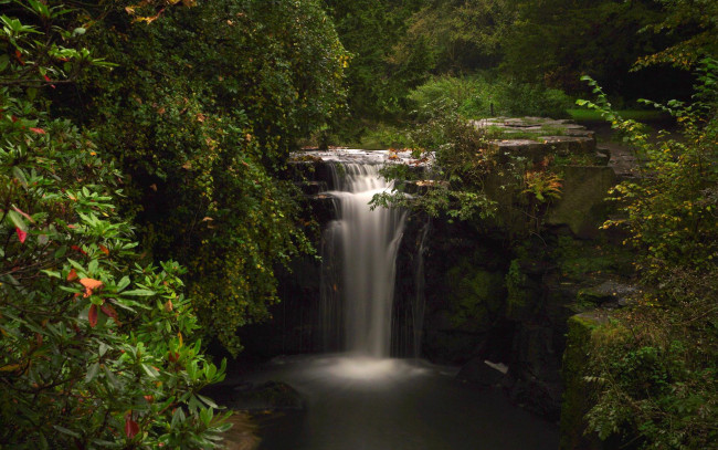 Обои картинки фото природа, водопады, англия, ньюкасл-апон-тайн, jesmond, dene, park, водопад, кусты