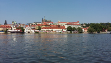 Картинка города прага+ Чехия лебеди река влтава