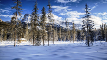 Картинка природа зима горы