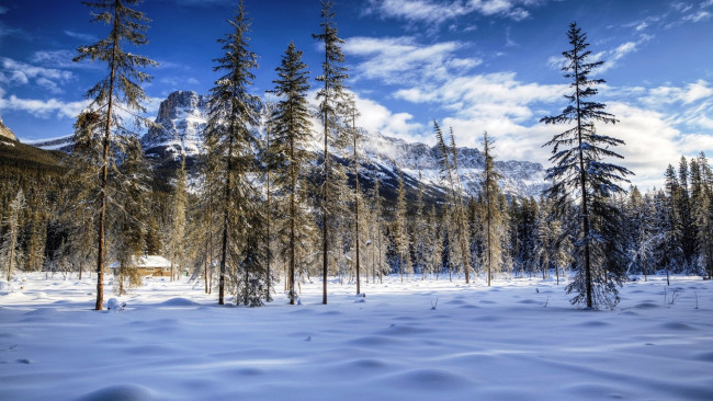 Обои картинки фото природа, зима, горы