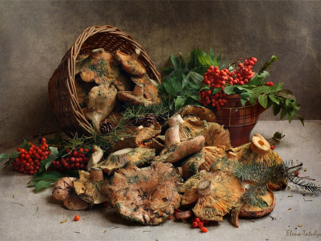 Обои картинки фото elena, ta, из, леса, еда, грибы, грибные, блюда