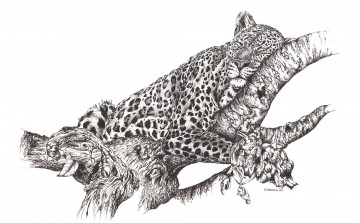 Картинка рисованные животные ветка хищник