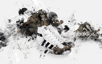 Картинка бренды adidas птица кроссовки