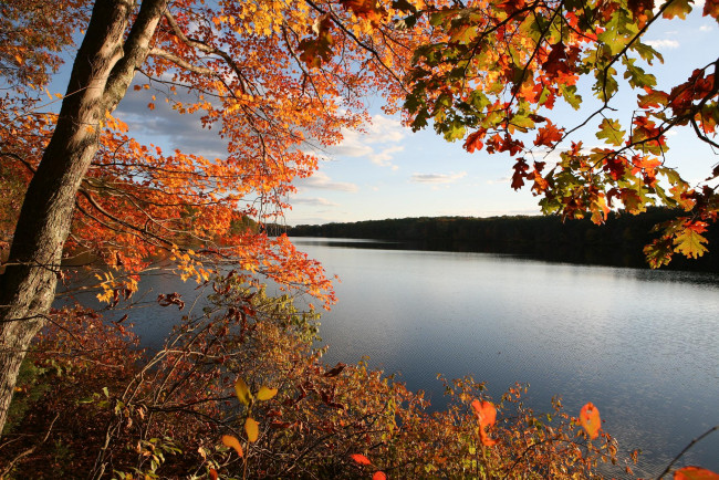 Обои картинки фото природа, реки, озера, листья, осень, река