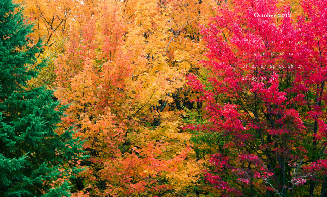 Обои картинки фото календари, природа, красочный, осень