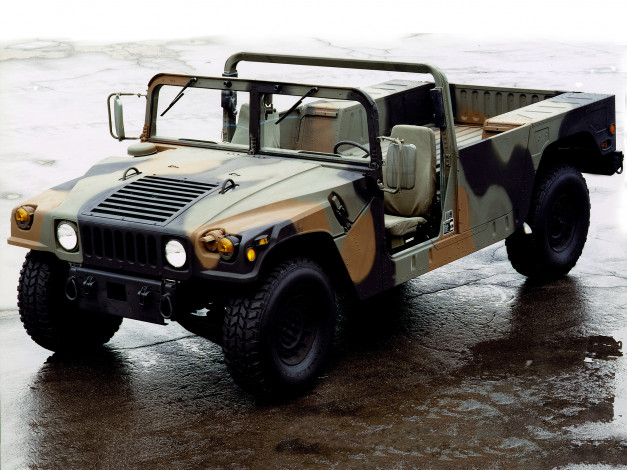 Обои картинки фото автомобили, hummer, hmmwv