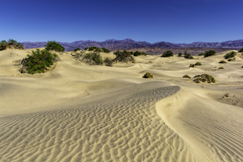 обоя природа, пустыни, дюны