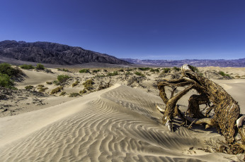 Картинка природа пустыни дюны