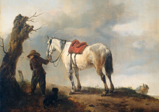 обоя рисованное, живопись, картина, филипс, вауэрман, масло, белая, лошадь